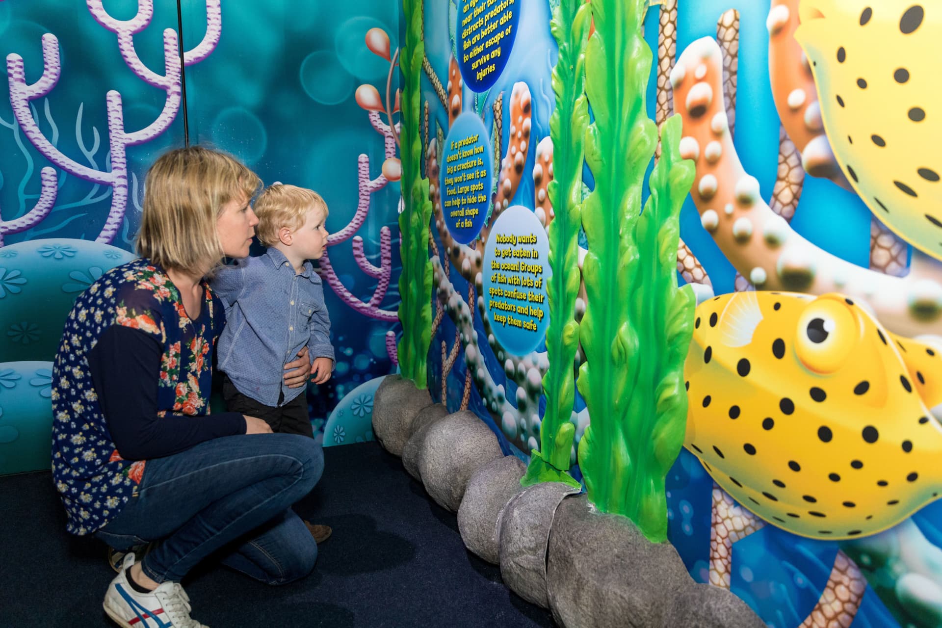 Auckland SEA LIFE Kelly Tarlton's Aquarium Ticket - image 14